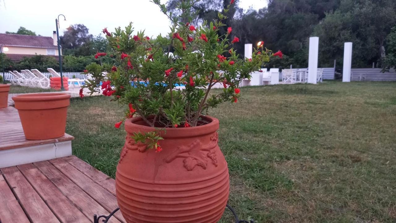 Aparthotel Amelia'S Garden Kávos Esterno foto