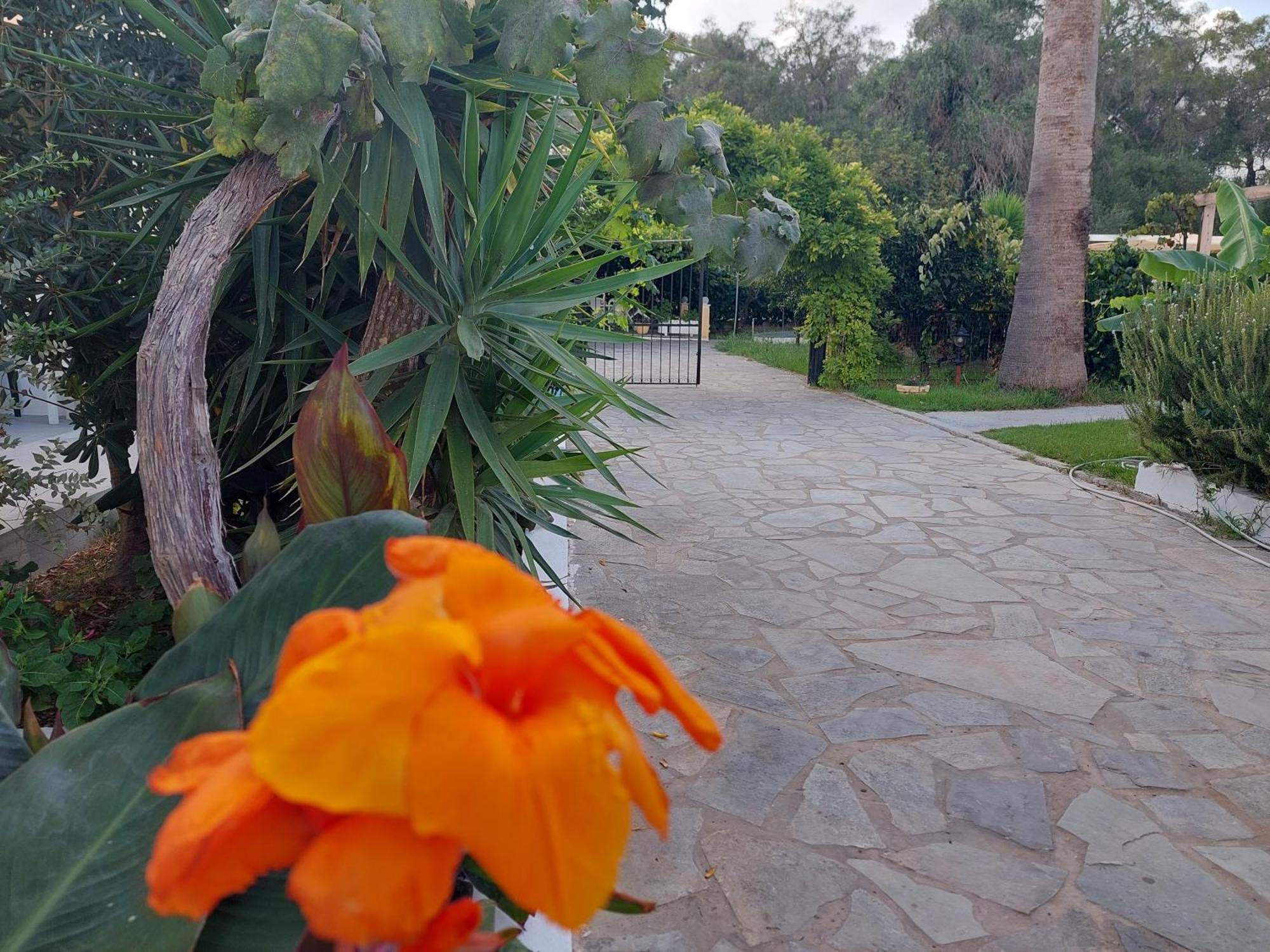 Aparthotel Amelia'S Garden Kávos Esterno foto